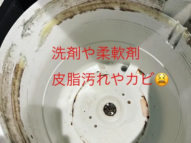 縦型洗濯機分解洗浄！カビ石鹸カス・水垢もスッキリ綺麗に♪お得なセット割りも有り〼サービスの画像