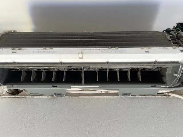 ★委託なし写真の人物が伺います★安心の損害保険加入★非喫煙者★お子さまペット♡サービスの画像