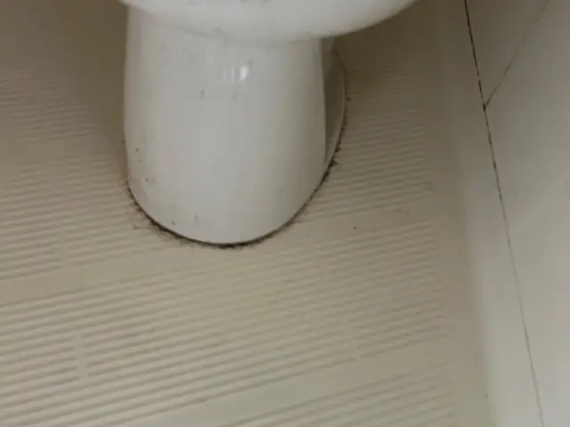 空室後のお部屋をとにかく綺麗に丁寧に作業させていただきます！サービスの画像