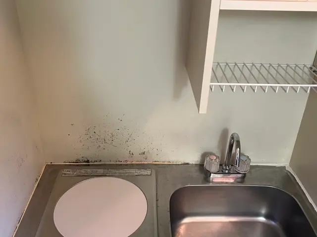 空室後のお部屋をとにかく綺麗に丁寧に作業させていただきます！サービスの画像