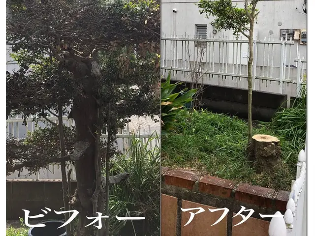 【地域密着：ゴミ回収無料キャンペーン】庭仕事が好きな店長が細かい要望に答えます！サービスの画像