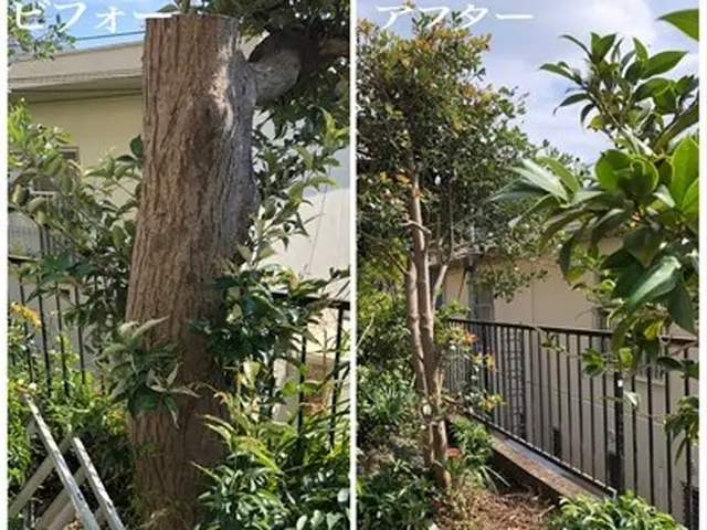 【地域密着：ゴミ回収無料キャンペーン】庭仕事が好きな店長が細かい要望に答えます！サービスの画像