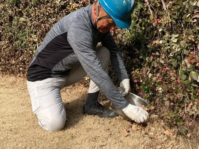 《草むしり(手作業)》はお任せ下さい！　　A型人間の気質をいかして綺麗にしますサービスの画像