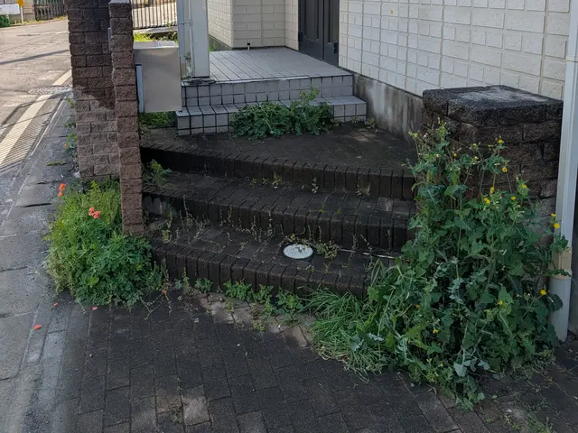 《草むしり(手作業)》はお任せ下さい！　　A型人間の気質をいかして綺麗にしますサービスの画像