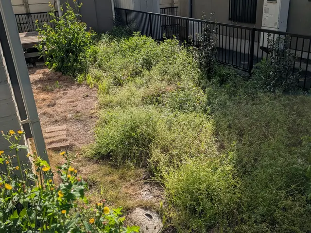 《草むしり(手作業)》はお任せ下さい！　　A型人間の気質をいかして綺麗にしますサービスの画像