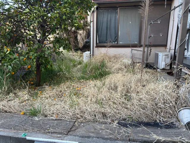 《草むしり(手作業)》はお任せ下さい！　　A型人間の気質をいかして綺麗にしますサービスの画像