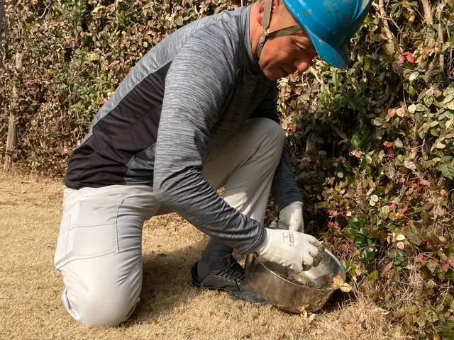 《草むしり(手作業)》はお任せ下さい！　　A型人間の気質をいかして綺麗にしますサービスの画像