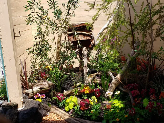 独立開業18周年キャンペーン中！お庭の事なら（株）庭づくりにお任せください。サービスの画像