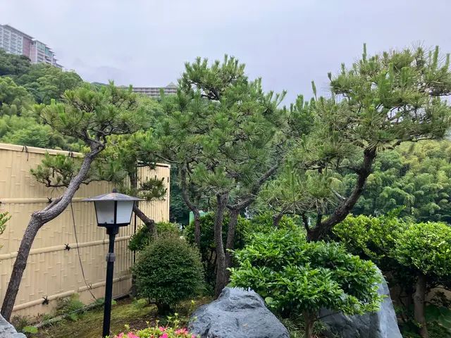 2000件以上の実績！庭木の健康と美しさを守る剪定のプロサービスの画像