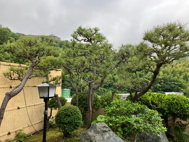 2000件以上の実績！庭木の健康と美しさを守る剪定のプロサービスの画像