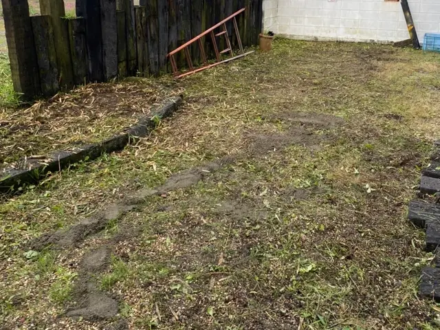 【草むしり】宇都宮市発！サービスの画像