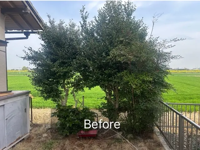 豊富な経験と知識で安心！仕上がり重視で丁寧に作業いたします！サービスの画像