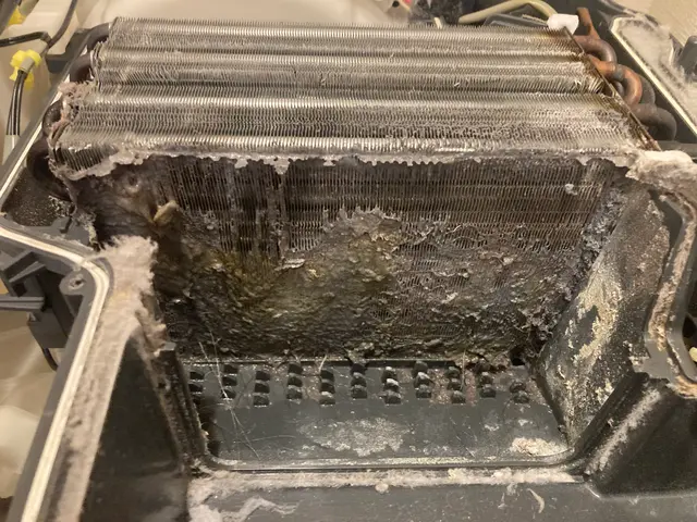 生乾き臭の原因を徹底洗浄！衣類に優しい仕上がりと、快適な乾燥機能をその手に。サービスの画像