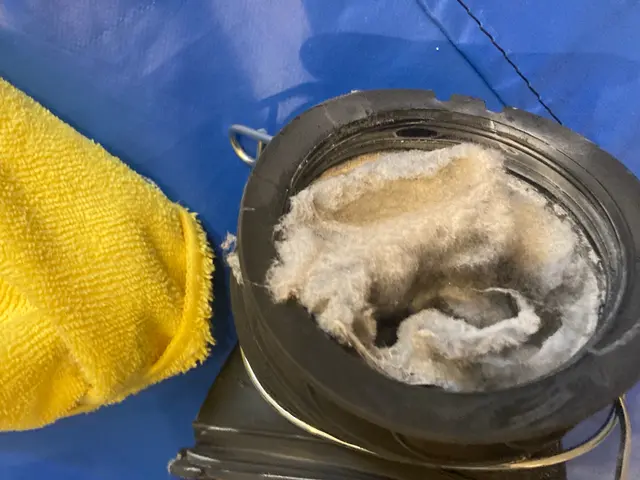 生乾き臭の原因を徹底洗浄！衣類に優しい仕上がりと、快適な乾燥機能をその手に。サービスの画像