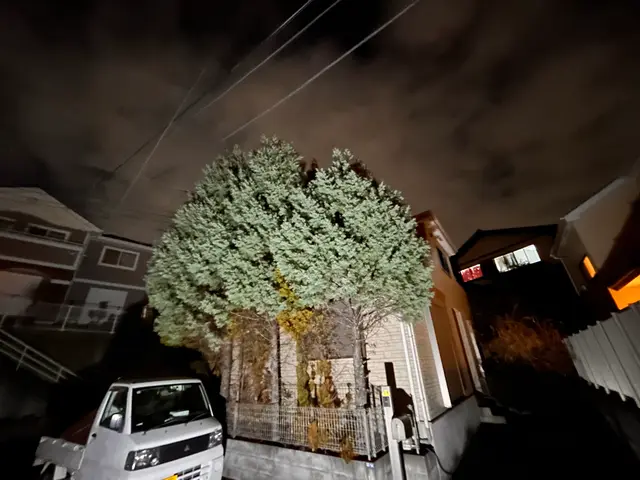 ☆即日対応可能です！☆お庭のヒーロー　その木！私達が承ります！伐採、抜根サービスの画像