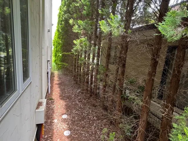 ☆即日対応可能です！☆お庭のヒーロー　その木！私達が承ります！伐採、抜根サービスの画像