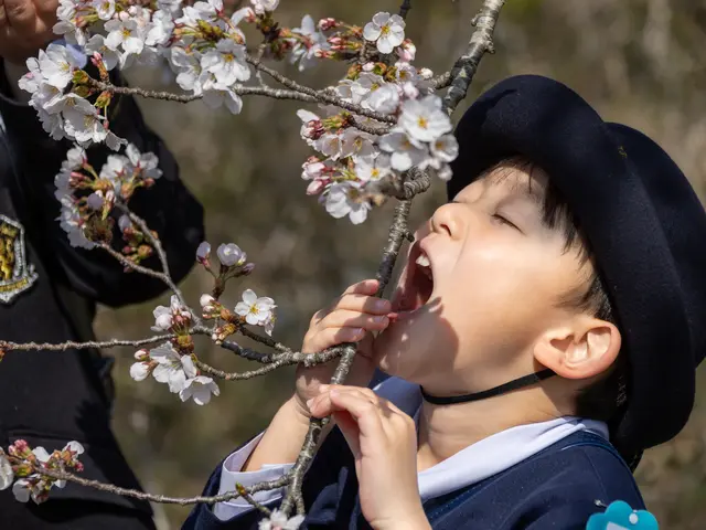 ご卒業・ご入学おめでとうございます！「桜とランドセル」思い出にいかがですか？