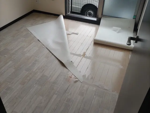 3㎜上貼りフローリング(Naossフローリング)サービスの画像