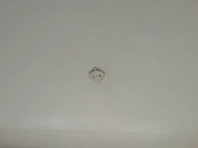 賃貸物件に大人気！壁紙クリーニング、クロスコート施工で張替えより安価でコスパ◎サービスの画像