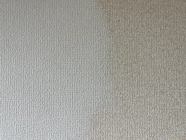 賃貸物件に大人気！壁紙クリーニング、クロスコート施工で張替えより安価でコスパ◎サービスの画像