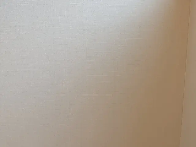 賃貸物件に大人気！壁紙クリーニング、クロスコート施工で張替えより安価でコスパ◎サービスの画像