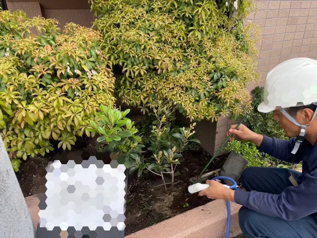 お庭やマンション、アパート、庭園、空き家になっているご実家の水遣りもいたします。サービスの画像