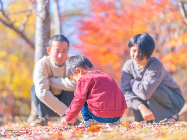 将来の自分達への手紙、素敵な家族の思い出記録サービスの画像