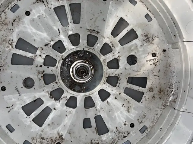【年末大掃除に！洗濯槽のカビ・汚れを徹底除去】サービスの画像