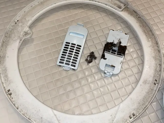 【年末大掃除に！洗濯槽のカビ・汚れを徹底除去】サービスの画像