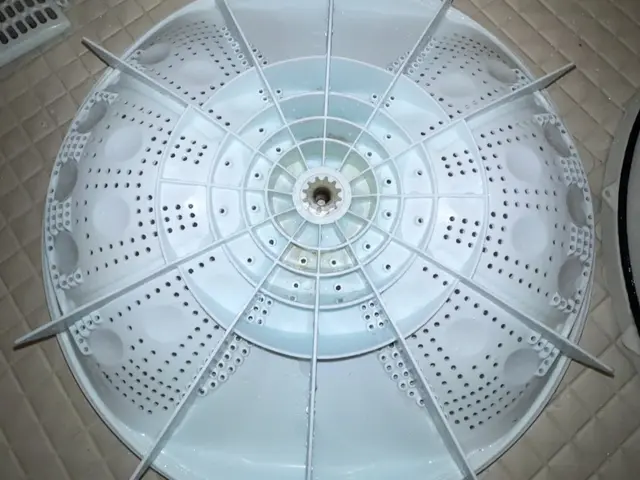 【年末大掃除に！洗濯槽のカビ・汚れを徹底除去】サービスの画像