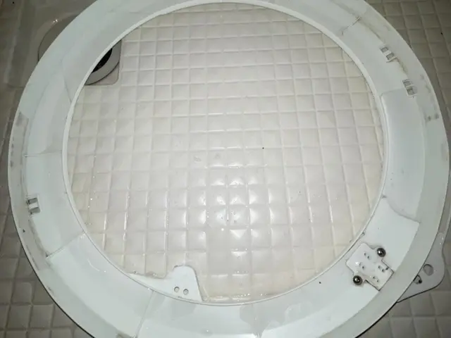 【年末大掃除に！洗濯槽のカビ・汚れを徹底除去】サービスの画像