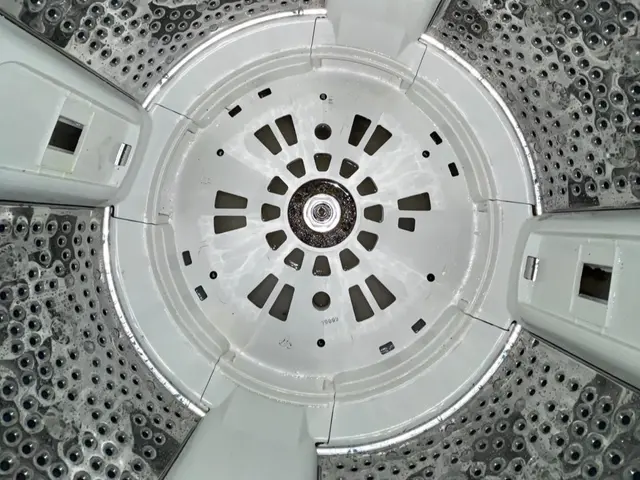 【年末大掃除に！洗濯槽のカビ・汚れを徹底除去】サービスの画像