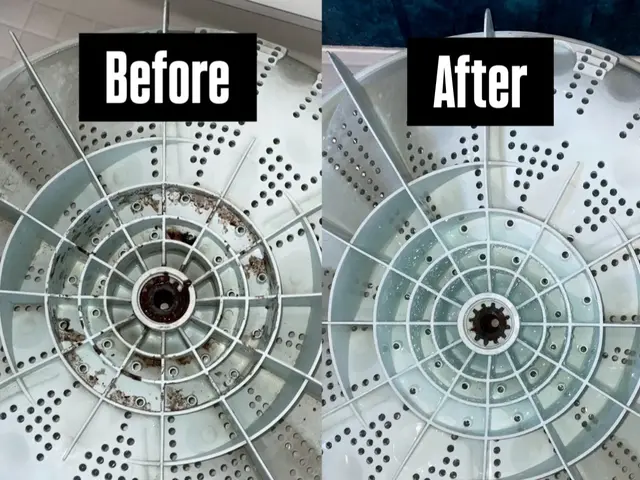 【年末大掃除に！洗濯槽のカビ・汚れを徹底除去】サービスの画像