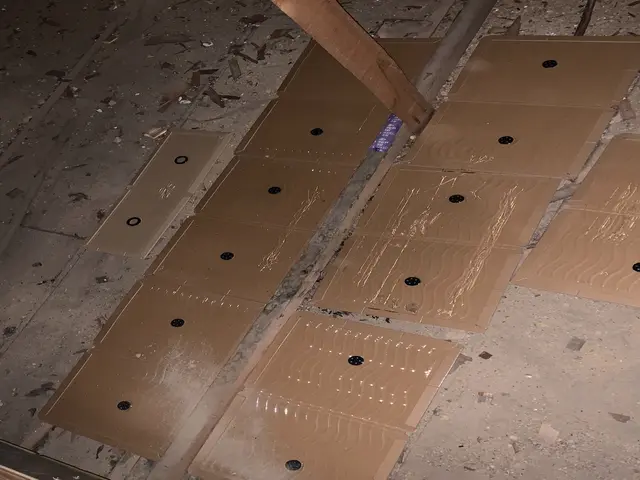 ネズミの侵入でお困りの方プロに任せて快適な暮らしをお届け！即日、翌日対応可能サービスの画像