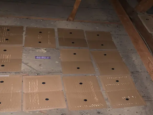 ネズミの侵入でお困りの方プロに任せて快適な暮らしをお届け！即日、翌日対応可能サービスの画像