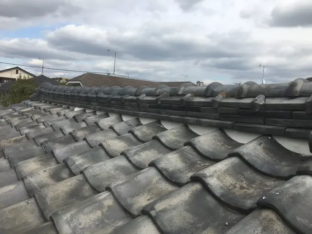 【業界歴20年以上】火災保険・地震保険適用可能。無料雨漏り診断・見積りいたしますサービスの画像