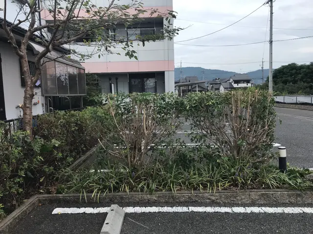 バリカンで刈り込みした後、刈り込み鋏で調整・仕上げを行いますサービスの画像