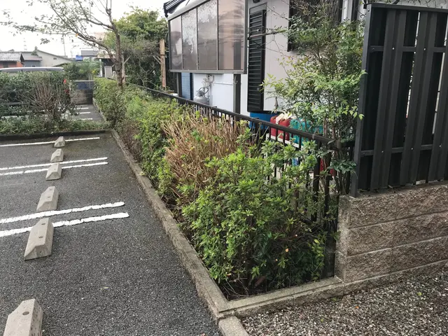 バリカンで刈り込みした後、刈り込み鋏で調整・仕上げを行いますサービスの画像