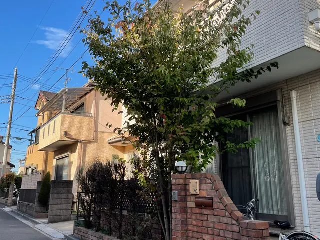 【庭木の剪定】◆100%自社施工◆ご要望お聞かせください！丁寧きれいに仕上げますサービスの画像