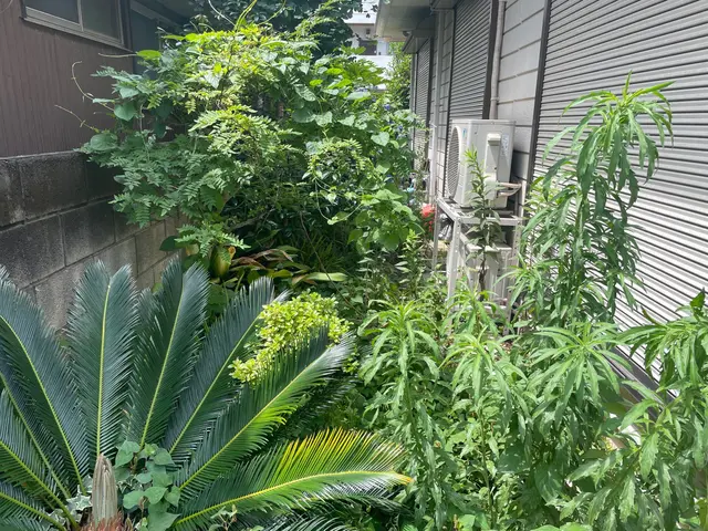 【庭木の剪定】◆100%自社施工◆ご要望お聞かせください！丁寧きれいに仕上げますサービスの画像