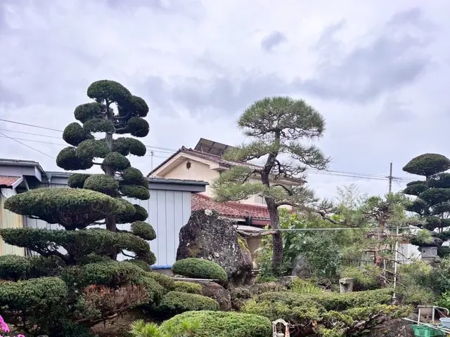 お客様のお力になります！剪定お任せください！　地域密着店！！　自社で施工！！サービスの画像