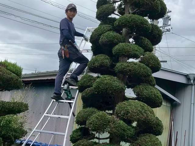 お客様のお力になります！剪定お任せください！　地域密着店！！　自社で施工！！サービスの画像