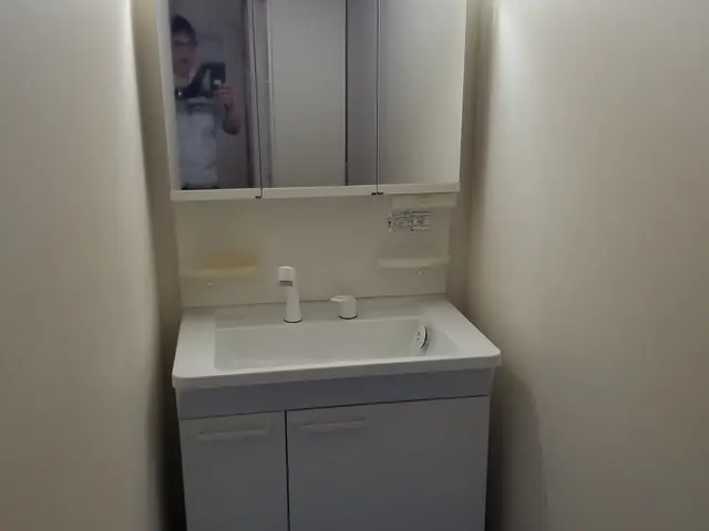 洗面台蛇口の交換サービスの画像