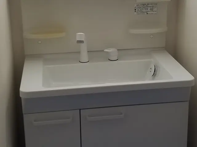 洗面台蛇口の交換サービスの画像