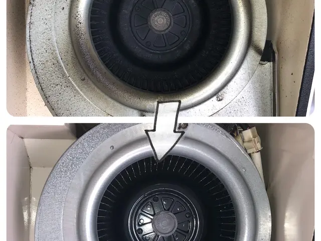 ★セットでお得！☆お子様、ペット、環境に優しい天然植物洗剤を使用！サービスの画像