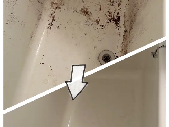 ★セットでお得！☆お子様、ペット、環境に優しい天然植物洗剤を使用！サービスの画像