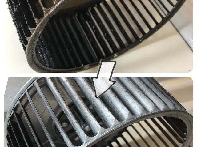 ★セットでお得！☆お子様、ペット、環境に優しい天然植物洗剤を使用！サービスの画像