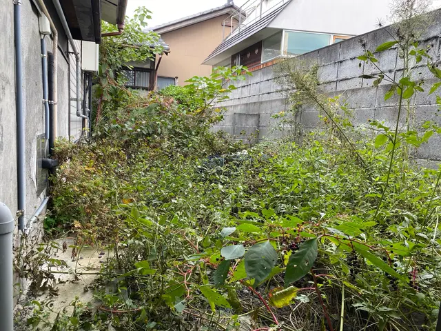 【11月出店】林業経験10年の職人サービスの画像