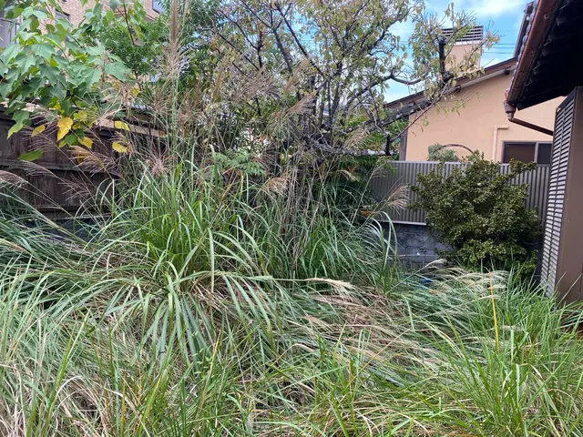 【11月出店】林業経験10年の職人サービスの画像