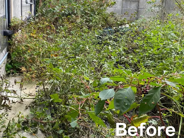 【11月出店】林業経験10年サービスの画像